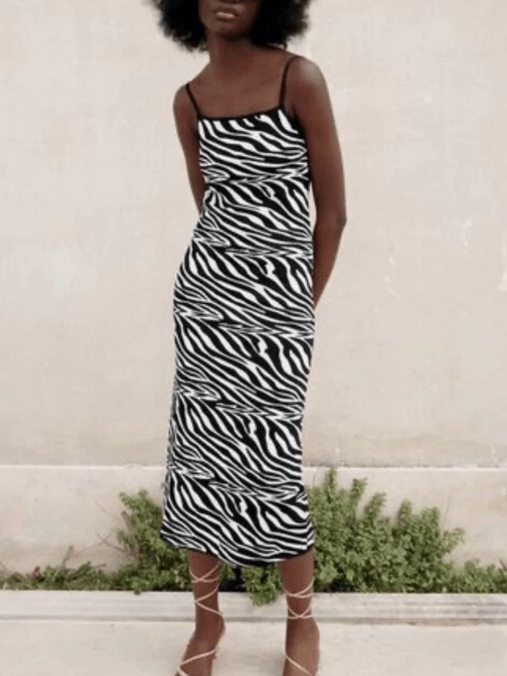 Zara zebra print dress